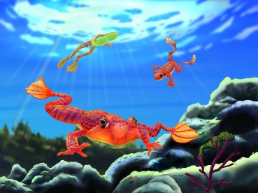 Marine Frogs 2b 18x24